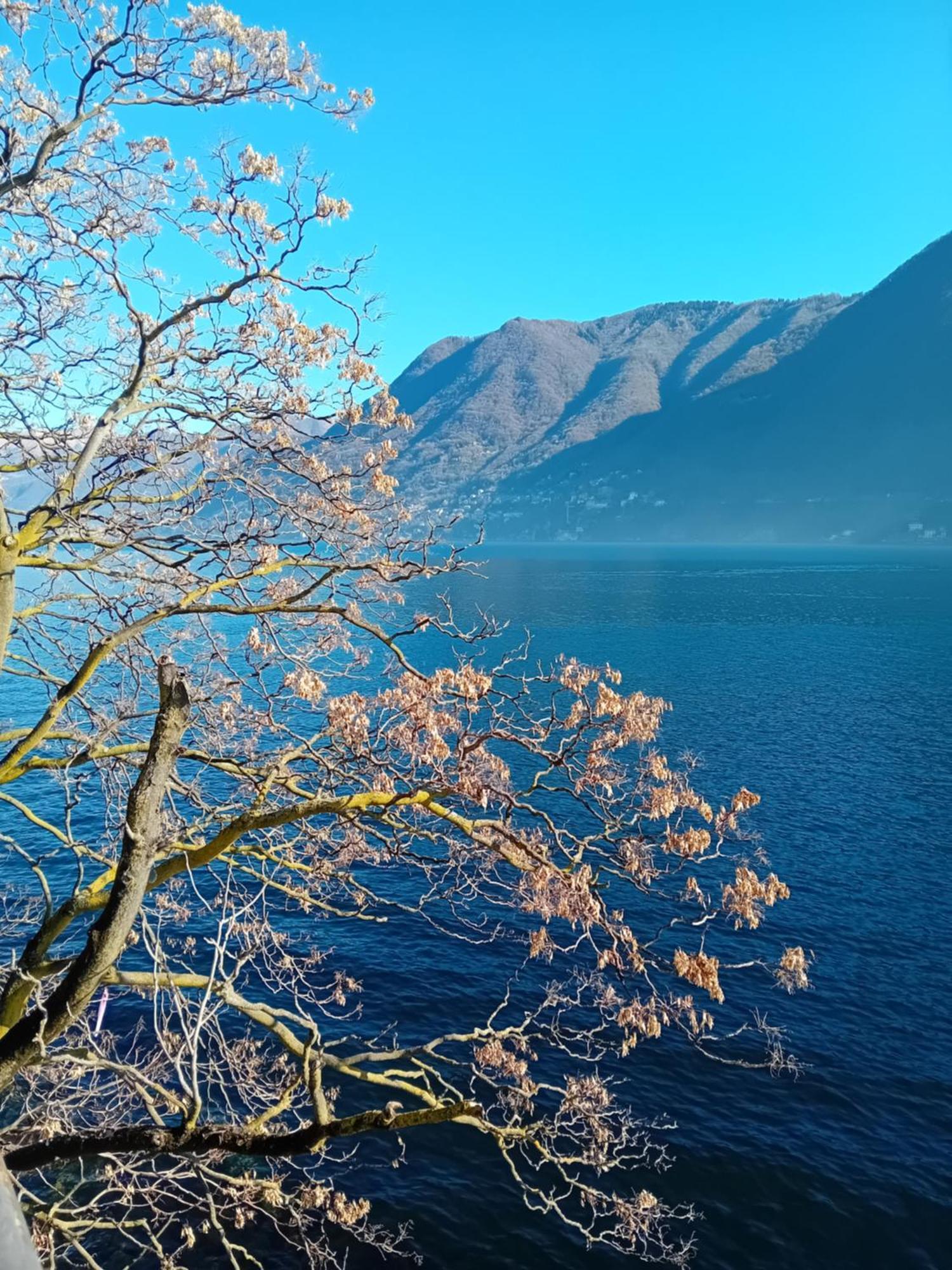 The Convo Lake Como Exteriör bild